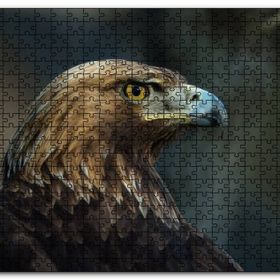 Cakapuzzle Kahverengi Kartal Mavi Gagalı Mdf 120 Parça Puzzle