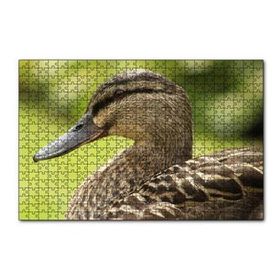 Cakapuzzle Kahverengi Ördek Yakın Plan 255 Parça Puzzle