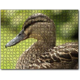 Cakapuzzle Kahverengi Ördek Yakın Plan 255 Parça Puzzle