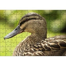 Cakapuzzle Kahverengi Ördek Yakın Plan Mdf 120 Parça Puzzle