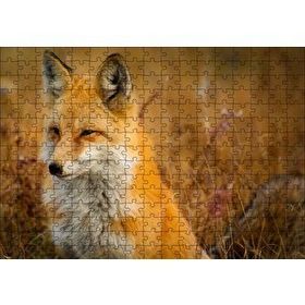 Cakapuzzle Kahverengi Tilki ve Çayırlar 255 Parça Puzzle