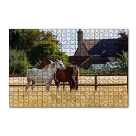 Cakapuzzle Kahverengi ve Beyaz Atlar 120 Parça Puzzle