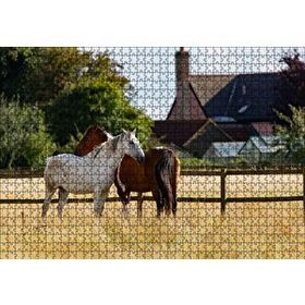 Cakapuzzle Kahverengi ve Beyaz Atlar 120 Parça Puzzle