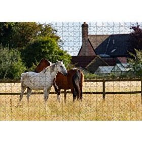Cakapuzzle Kahverengi ve Beyaz Atlar 500 Parça Puzzle