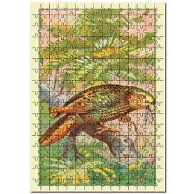 Cakapuzzle Kakapo Papağan Kuş Görseli Mdf 500 Parça Puzzle