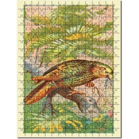 Cakapuzzle Kakapo Papağan Kuş Görseli Mdf 500 Parça Puzzle