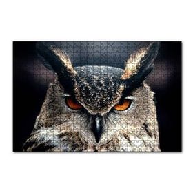 Cakapuzzle Kalın Kaşlı Baykuş Yakın Plan 120 Parça Ahşap Puzzle