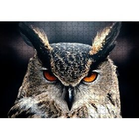 Cakapuzzle Kalın Kaşlı Baykuş Yakın Plan 120 Parça Ahşap Puzzle
