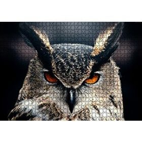 Cakapuzzle Kalın Kaşlı Baykuş Yakın Plan 120 Parça Ahşap Puzzle
