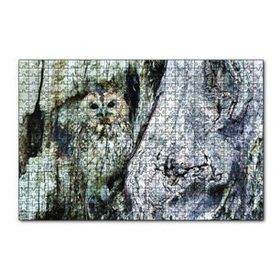 Cakapuzzle Kamufle Baykuş 120 Parça Ahşap Puzzle