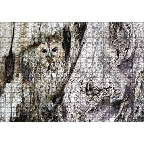 Cakapuzzle Kamufle Baykuş 120 Parça Ahşap Puzzle