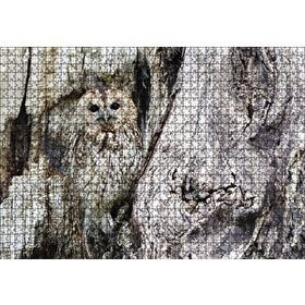 Cakapuzzle Kamufle Baykuş 120 Parça Ahşap Puzzle