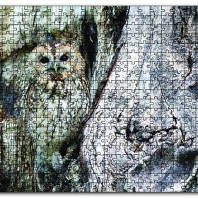 Cakapuzzle Kamufle Baykuş Ahşap 1000 Parça Puzzle