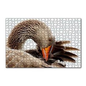 Cakapuzzle Kanadını Temizleyen Kahverengi Kaz 120 Parça Puzzle