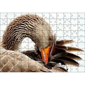 Cakapuzzle Kanadını Temizleyen Kahverengi Kaz 120 Parça Puzzle