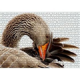Cakapuzzle Kanadını Temizleyen Kahverengi Kaz 120 Parça Puzzle