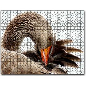 Cakapuzzle Kanadını Temizleyen Kahverengi Kaz Görseli Mdf 255 Parça Puzzle