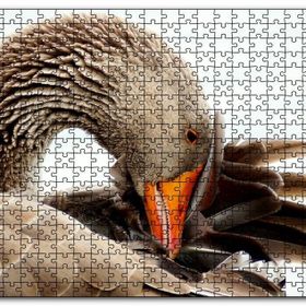 Cakapuzzle Kanadını Temizleyen Kahverengi Kaz Görseli Mdf 500 Parça Puzzle