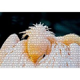 Cakapuzzle Kanatları Arasına Gömülmüş Pelikan Yakın Çekim Mdf 1000 Parça Puzzle
