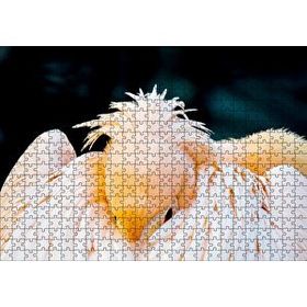 Cakapuzzle Kanatları Arasına Gömülmüş Pelikan Yakın Çekim Mdf 500 Parça Puzzle