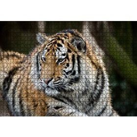 Cakapuzzle Kaplan Hayvanat Bahçesi Yakın Çekim 120 Parça Ahşap Puzzle