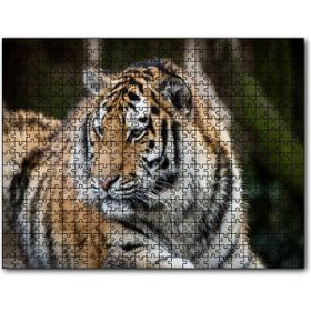 Cakapuzzle Kaplan Hayvanat Bahçesi Yakın Çekim Mdf 255 Parça Puzzle