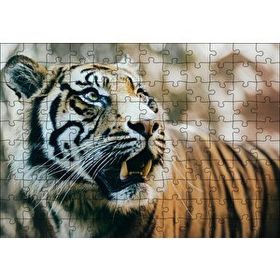 Cakapuzzle Kaplan Saldırıya Hazır 120 Parça Ahşap Puzzle