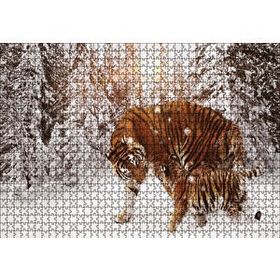 Cakapuzzle Kaplan ve Yavrusu Karda 120 Parça Ahşap Puzzle
