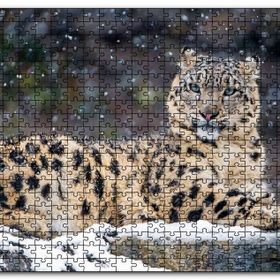 Cakapuzzle Kar Yağışı ve Leopar Görseli Mdf 1000 Parça Puzzle