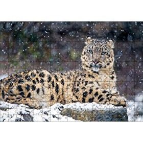 Cakapuzzle Kar Yağışı ve Leopar Görseli Mdf 255 Parça Puzzle