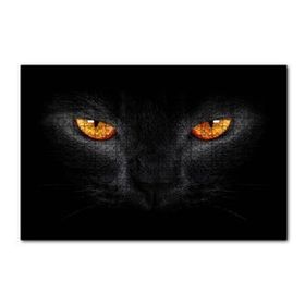 Cakapuzzle Kara Kedi ve Sarı Gözleri 255 Parça Puzzle