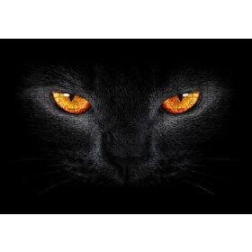 Cakapuzzle Kara Kedi ve Sarı Gözleri 255 Parça Puzzle