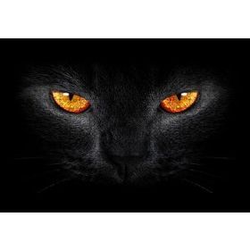 Cakapuzzle Kara Kedi ve Sarı Gözleri Mdf 500 Parça Puzzle