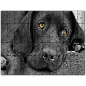 Cakapuzzle Kara Labrador Üzgün Köpek Mdf 500 Parça Puzzle