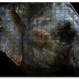 Cakapuzzle Karanlık Arkaplan Fil Yakın Çekim Mdf 1000 Parça Puzzle