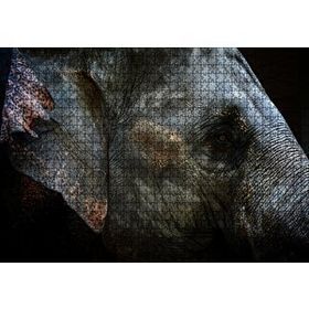 Cakapuzzle Karanlık Arkaplan Fil Yakın Çekim Mdf 1000 Parça Puzzle