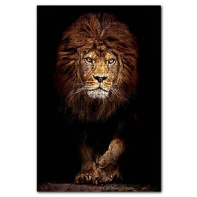 Cakapuzzle Karanlık Arkaplan Görkemli Erkek Aslan Ahşap 1000 Parça Puzzle