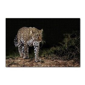 Cakapuzzle Karanlıktaki Java Leoparı 120 Parça Ahşap Puzzle