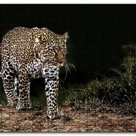 Cakapuzzle Karanlıktaki Java Leoparı Mdf 120 Parça Puzzle