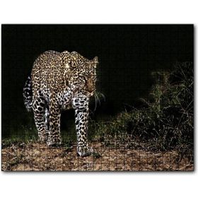 Cakapuzzle Karanlıktaki Java Leoparı Mdf 120 Parça Puzzle