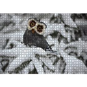 Cakapuzzle Karda Baykuş 120 Parça Puzzle