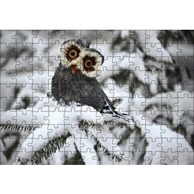 Cakapuzzle Karda Baykuş 120 Parça Puzzle