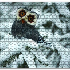 Cakapuzzle Karda Baykuş Ahşap 500 Parça Puzzle
