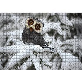 Cakapuzzle Karda Baykuş Ahşap 500 Parça Puzzle