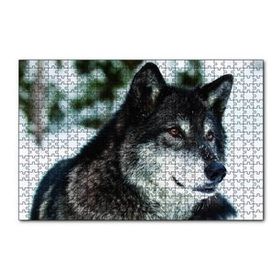 Cakapuzzle Karda Bozkurt 120 Parça Ahşap Puzzle