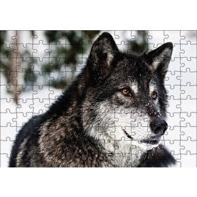 Cakapuzzle Karda Bozkurt 120 Parça Ahşap Puzzle