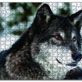 Cakapuzzle Karda Bozkurt Ahşap 500 Parça Puzzle