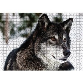 Cakapuzzle Karda Bozkurt Ahşap 500 Parça Puzzle