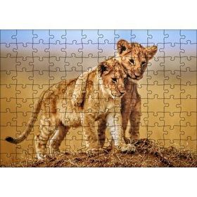 Cakapuzzle Kardeşlik Başkadır Yavru Aslanlar 120 Parça Ahşap Puzzle