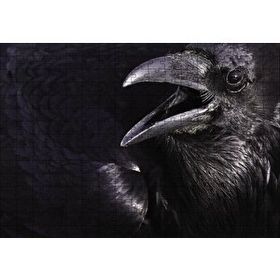 Cakapuzzle Karga Açık Gagalı Ahşap 255 Parça Puzzle